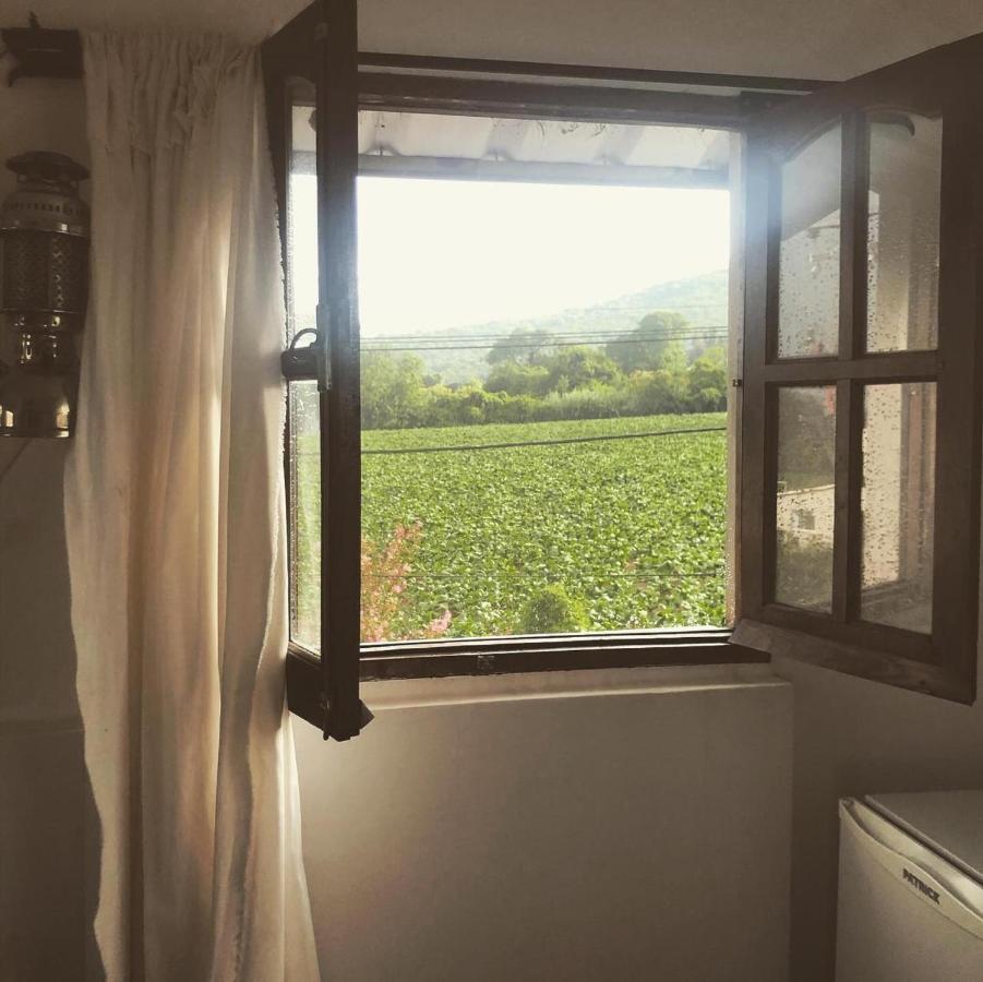 Hostal Los Faroles Chicoana Ngoại thất bức ảnh